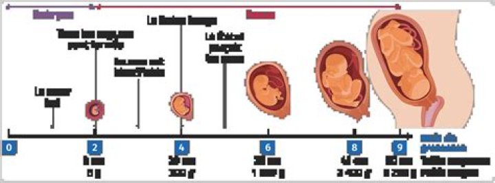 Andreas Schubert: Mort De Quoi, Taille, Poids, Parents, Enceinte, Origine, Familie, Âge