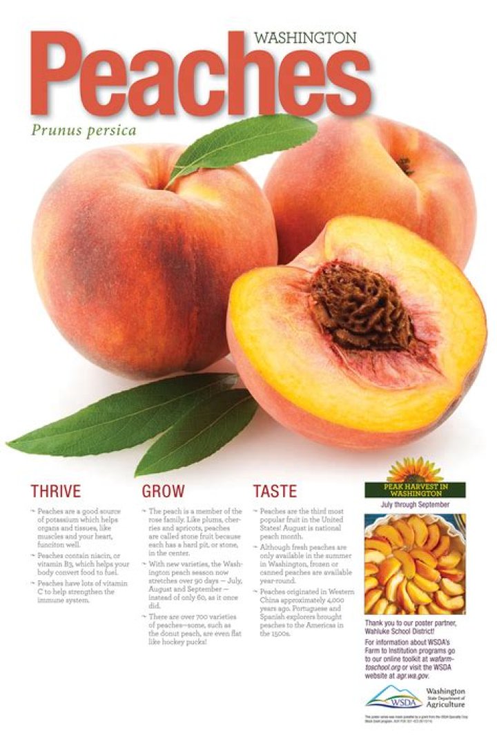 Can Peaches Grow In Washington State