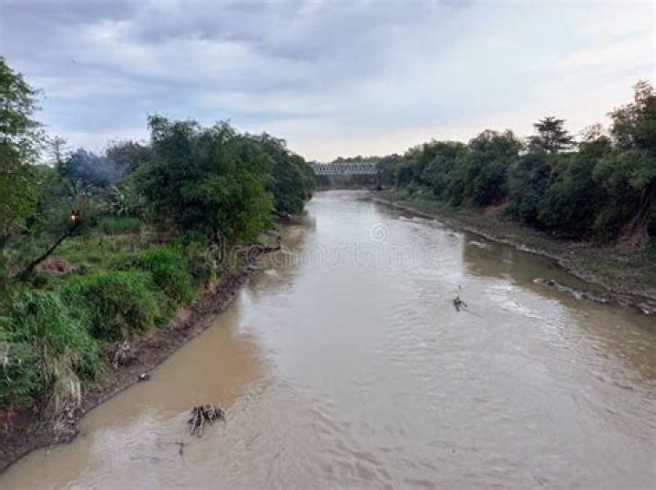Central Java Police Investigate Pollution in Bengawan Solo River