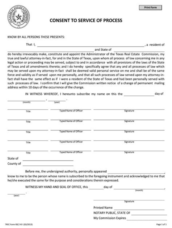 Consent to Service of Process Definition