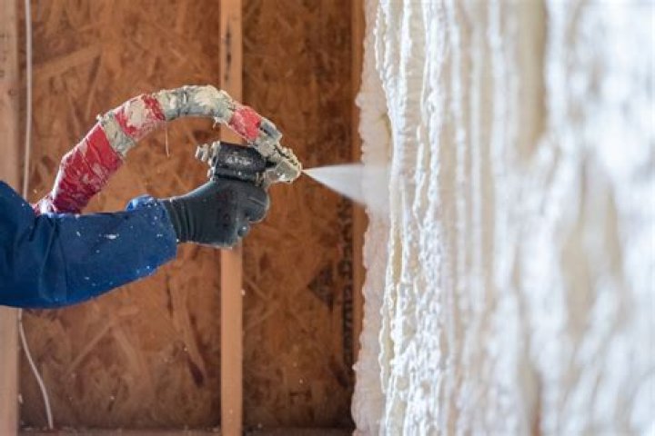 How Spray Foam Insulation Increases Termite Risk