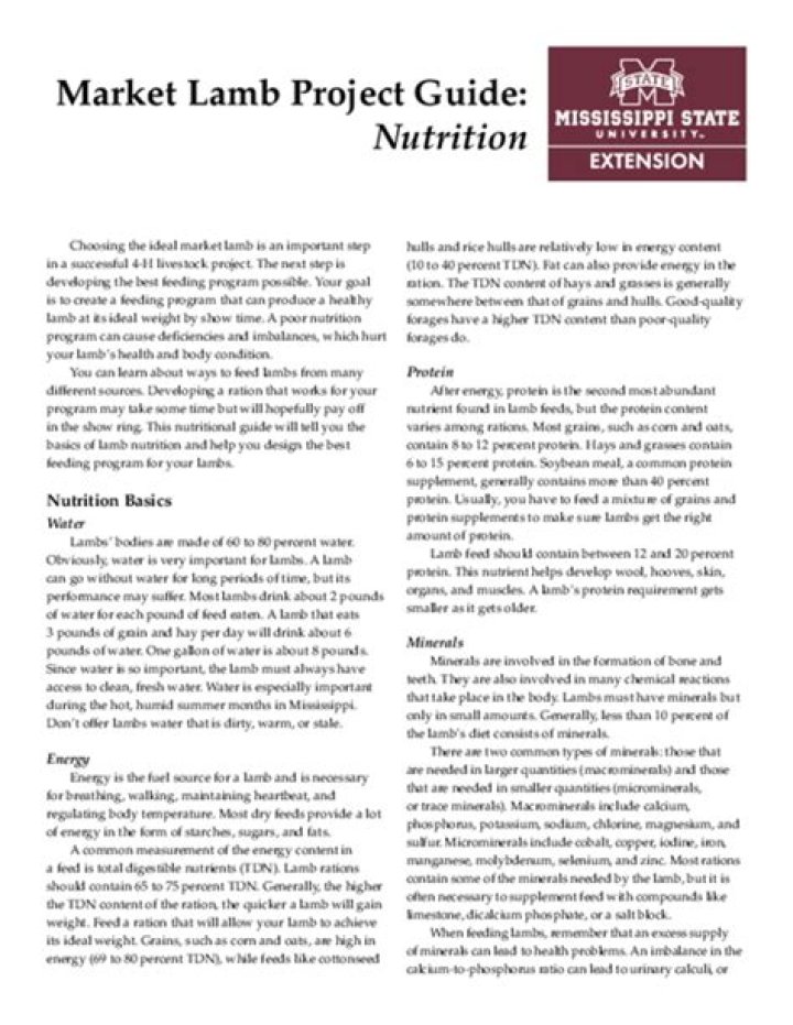 Market Lamb Project Guide: Nutrition
