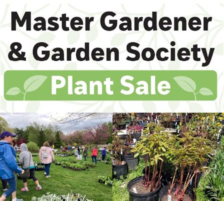 Master Gardener volunteers reach 1,000 salad tables built