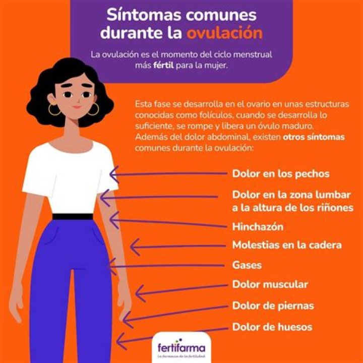 Ovulación ¿Qué es? ¿Calculadoras? ¿Síntomas?