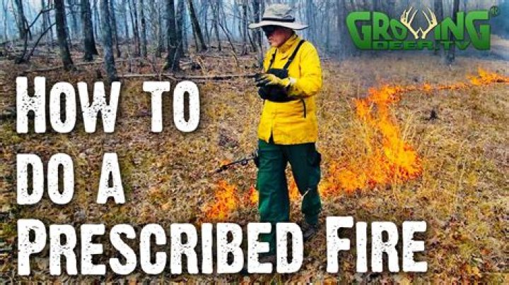 Prescribed Burning for Pasture Management