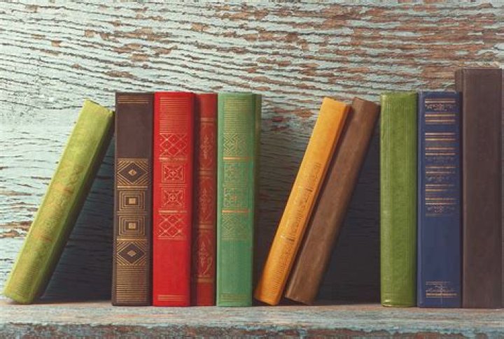 Staff Profile | School of Geography, Politics and Sociology