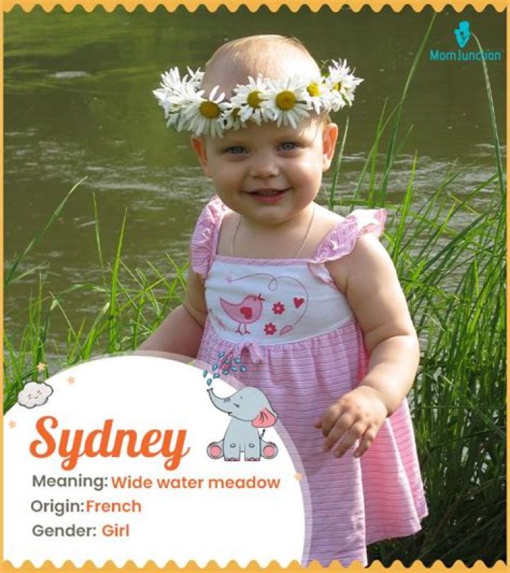 Sydney Meaning in English, Sydney Baby Name Origin Gender Meaning Pronunciation