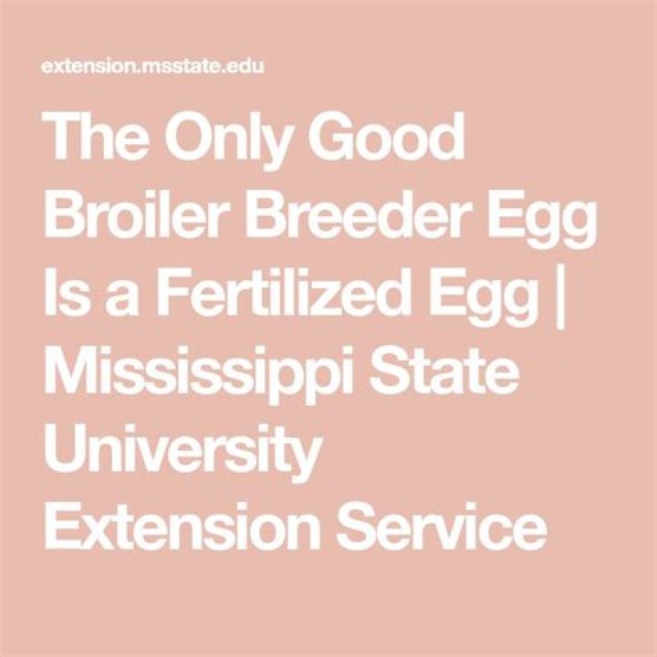 The Only Good Broiler Breeder Egg Is a Fertilized Egg