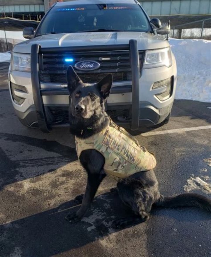 Vaughn Malloy and Police K9 Broko Tragically Killed in Officer-Involved Shooting in Stonington