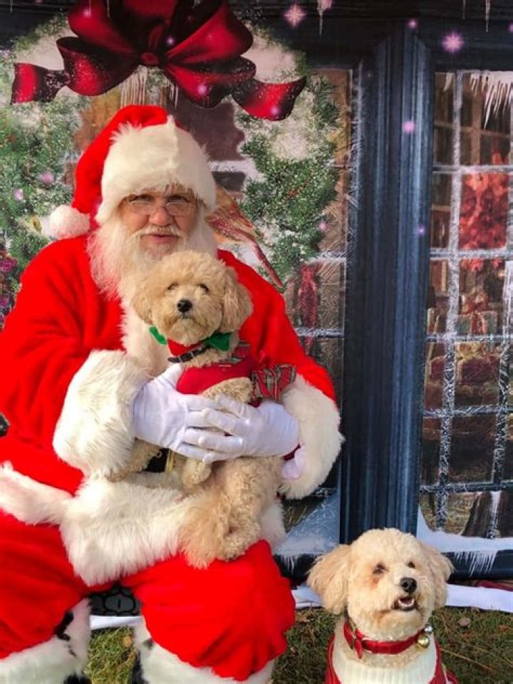 📸🐶 Village Pet Supplies And Gifts Luzerne: Pictures with Santa
